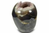 Realistic Polished Agate Skull with Amethyst Crystal Pocket #378637-4